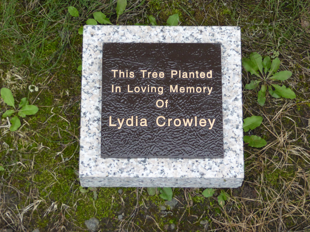 Hampton Bays, NY Bronze Tree Plaque